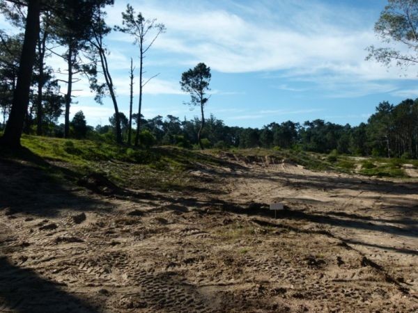 Excelentes terrenos de 1.000 m2 en Parque Burnett con buena financiación